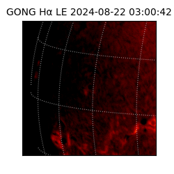 gong - 2024-08-22T03:00:42