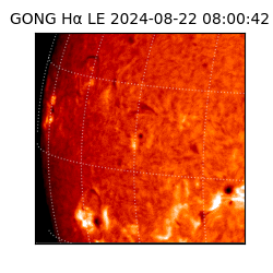 gong - 2024-08-22T08:00:42
