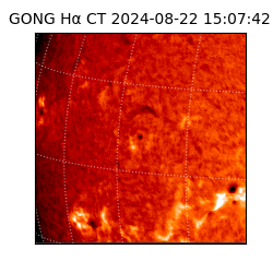 gong - 2024-08-22T15:07:42