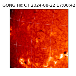gong - 2024-08-22T17:00:42