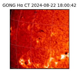 gong - 2024-08-22T18:00:42