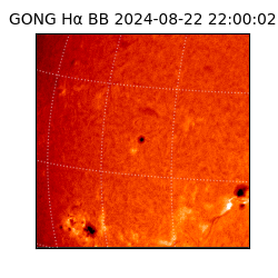 gong - 2024-08-22T22:00:02