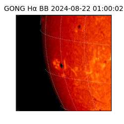 gong - 2024-08-22T01:00:02