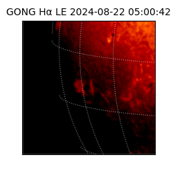 gong - 2024-08-22T05:00:42