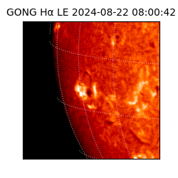 gong - 2024-08-22T08:00:42