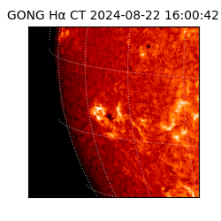 gong - 2024-08-22T16:00:42