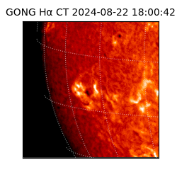 gong - 2024-08-22T18:00:42