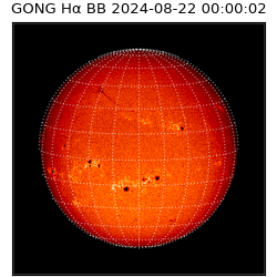 gong - 2024-08-22T00:00:02