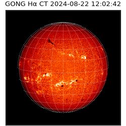 gong - 2024-08-22T12:02:42