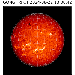 gong - 2024-08-22T13:00:42