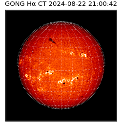 gong - 2024-08-22T21:00:42