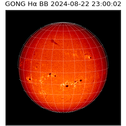 gong - 2024-08-22T23:00:02