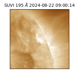 suvi - 2024-08-22T09:00:14.024000