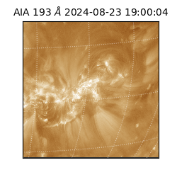 saia - 2024-08-23T19:00:04.840000