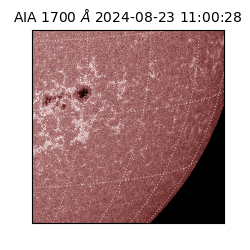 saia - 2024-08-23T11:00:28.720000