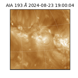 saia - 2024-08-23T19:00:04.840000