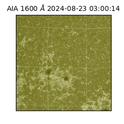 saia - 2024-08-23T03:00:14.130000
