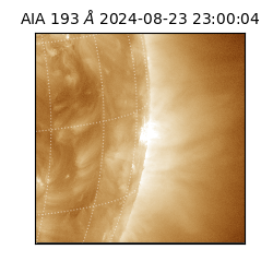 saia - 2024-08-23T23:00:04.840000