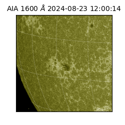 saia - 2024-08-23T12:00:14.130000
