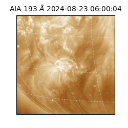 saia - 2024-08-23T06:00:04.840000