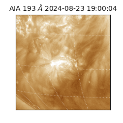 saia - 2024-08-23T19:00:04.840000