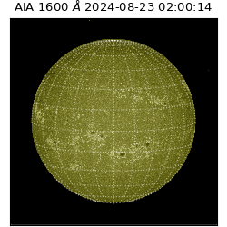 saia - 2024-08-23T02:00:14.130000