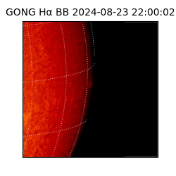gong - 2024-08-23T22:00:02