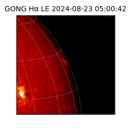 gong - 2024-08-23T05:00:42