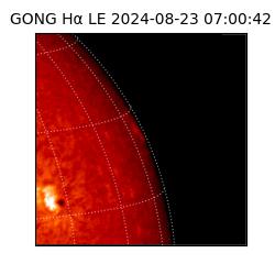 gong - 2024-08-23T07:00:42