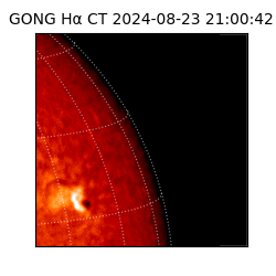 gong - 2024-08-23T21:00:42