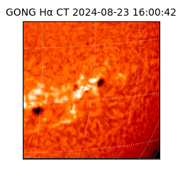 gong - 2024-08-23T16:00:42