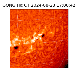 gong - 2024-08-23T17:00:42