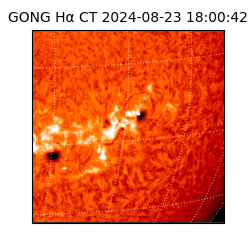 gong - 2024-08-23T18:00:42