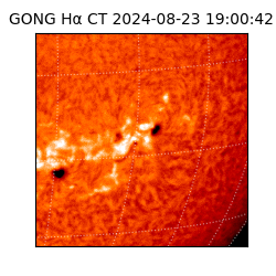 gong - 2024-08-23T19:00:42