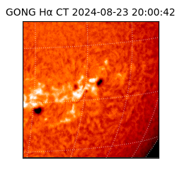 gong - 2024-08-23T20:00:42