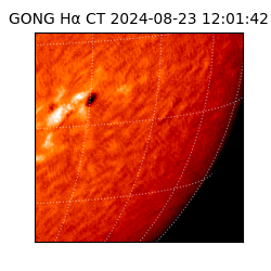 gong - 2024-08-23T12:01:42
