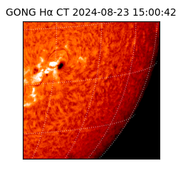 gong - 2024-08-23T15:00:42