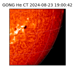 gong - 2024-08-23T19:00:42