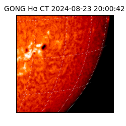 gong - 2024-08-23T20:00:42