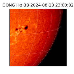 gong - 2024-08-23T23:00:02