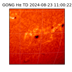 gong - 2024-08-23T11:00:22