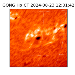 gong - 2024-08-23T12:01:42