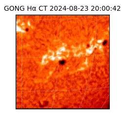 gong - 2024-08-23T20:00:42