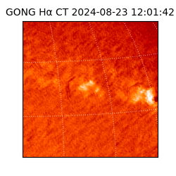 gong - 2024-08-23T12:01:42