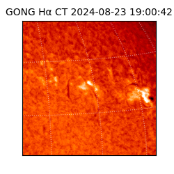gong - 2024-08-23T19:00:42