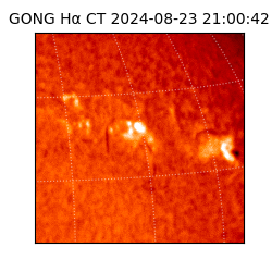 gong - 2024-08-23T21:00:42