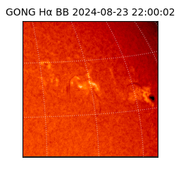 gong - 2024-08-23T22:00:02