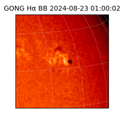 gong - 2024-08-23T01:00:02