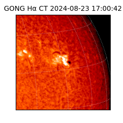 gong - 2024-08-23T17:00:42