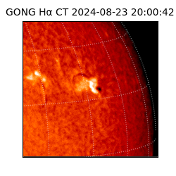 gong - 2024-08-23T20:00:42